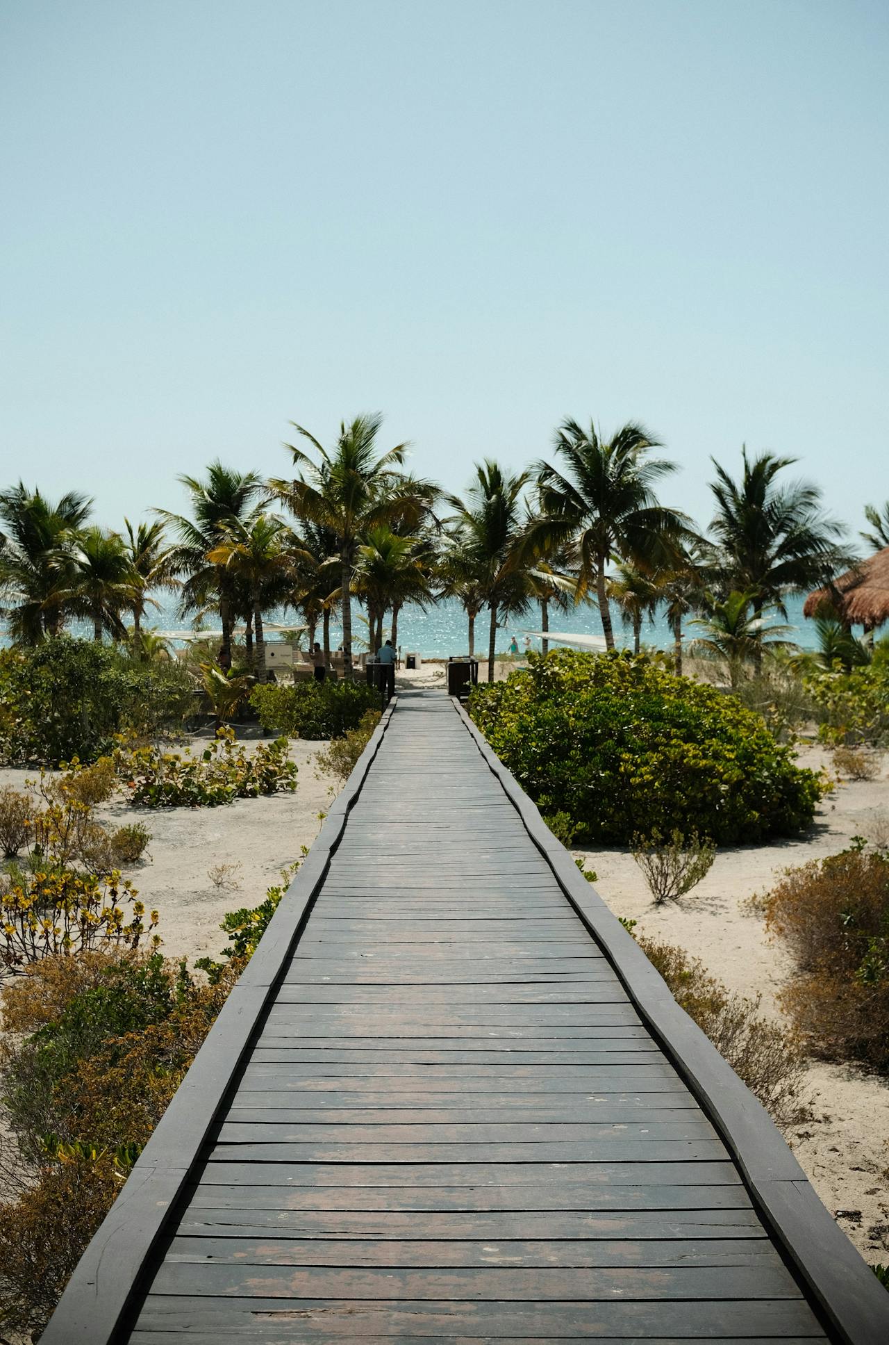 wedding venue ideas in cancun and riviera maya